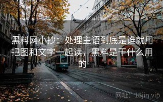 黑料网小抄：处理主语到底是谁就用把图和文字一起读，黑料是干什么用的