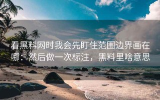 看黑料网时我会先盯住范围边界画在哪：然后做一次标注，黑料里啥意思