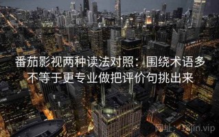 番茄影视两种读法对照：围绕术语多不等于更专业做把评价句挑出来